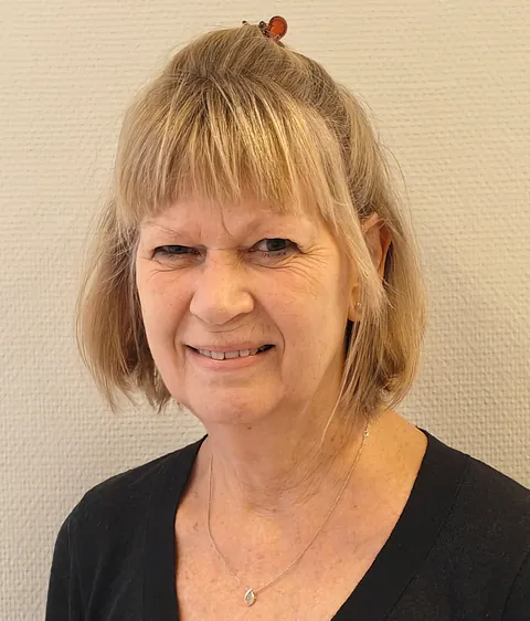 Kirkesanger Holbøl
